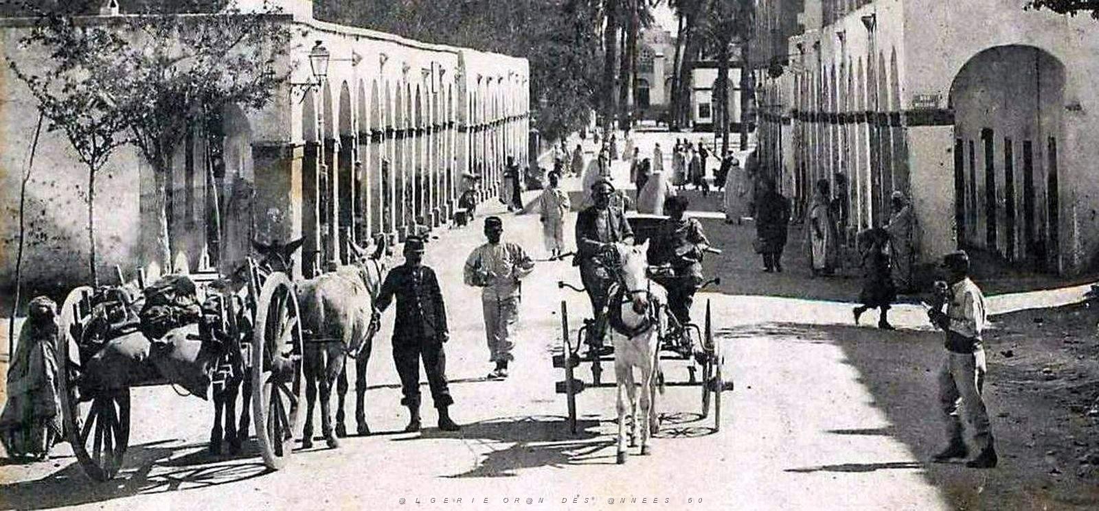 1955- Laghouat - Avenue Margueritte2 - 1910.jpg